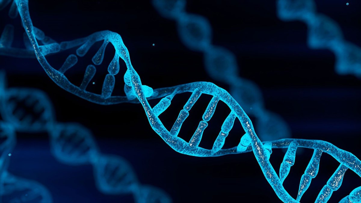 Bilim insanları, kilo vermeyi kolaylaştıran “zayıflık genleri” keşfetti